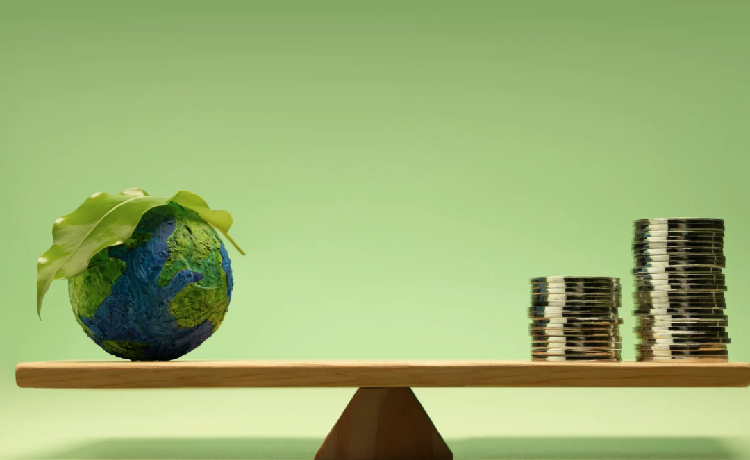 La sostenibilidad de la sostenibilidad