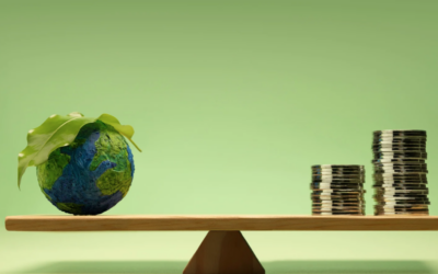 La sostenibilidad de la sostenibilidad