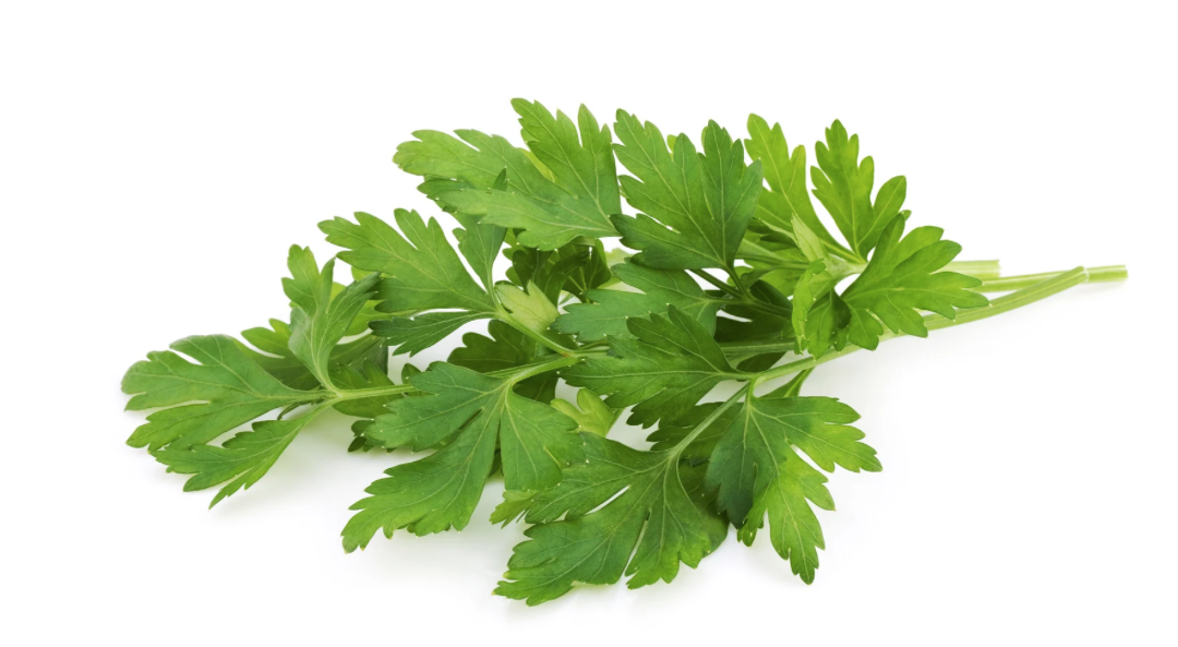 ¿IA para todo? No, gracias