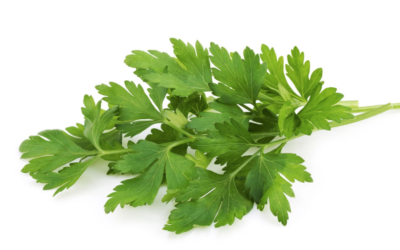 ¿IA para todo? No, gracias